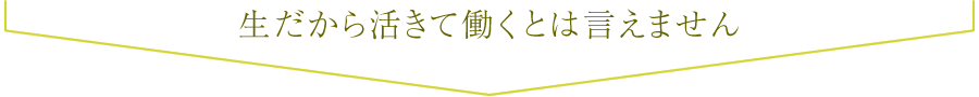 生だけで活きているとは言えません