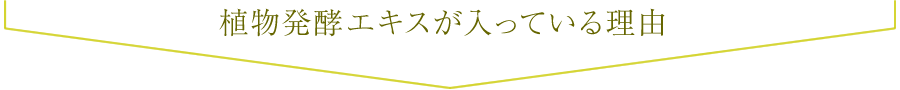 植物発酵エキスが入っている理由